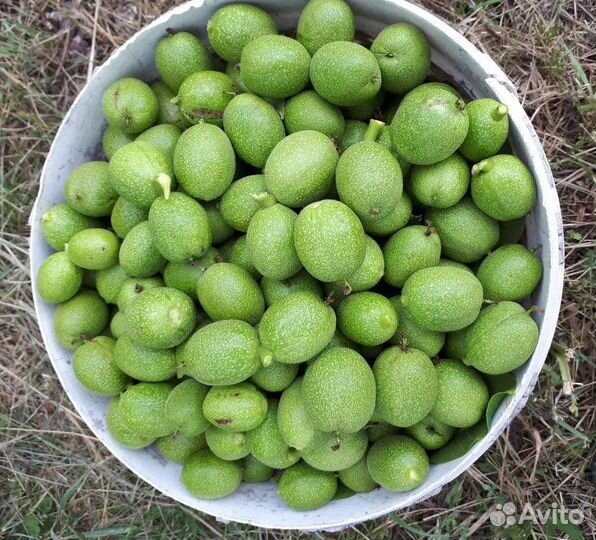 Зеленые грецкие орехи в таре