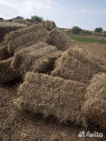 Сено в тюках