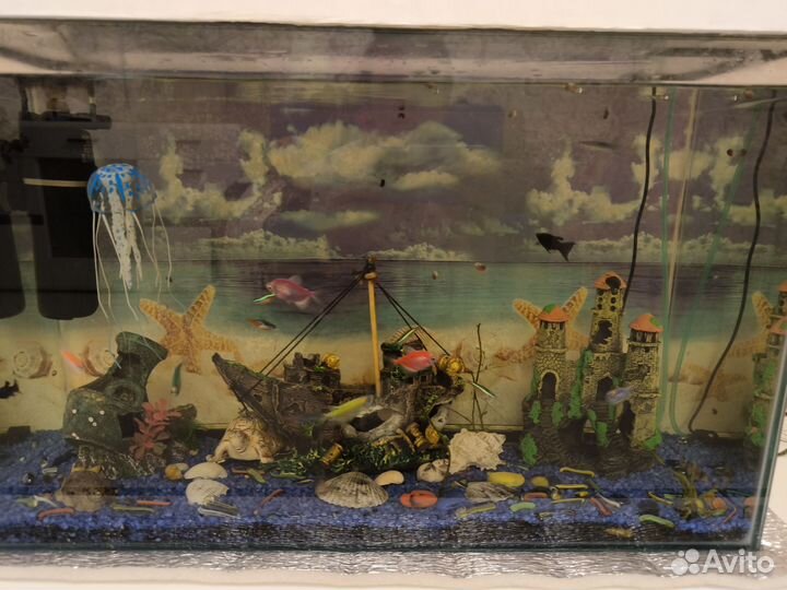 Аквариумные рыбки