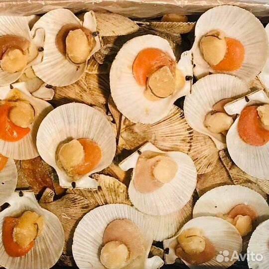 Морепродукты креветка рыба