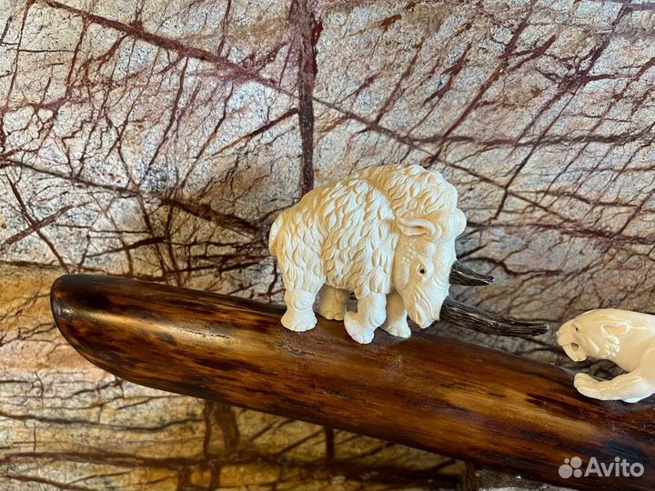 Бивень мамонта с резьбой на зубе