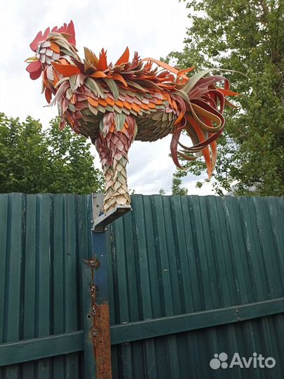 Бойцовые петухи