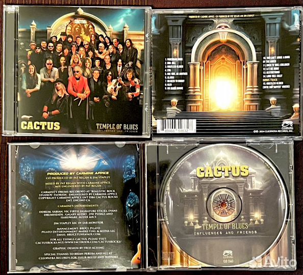 CD диски Cactus - Temple Of Blues new album 2024