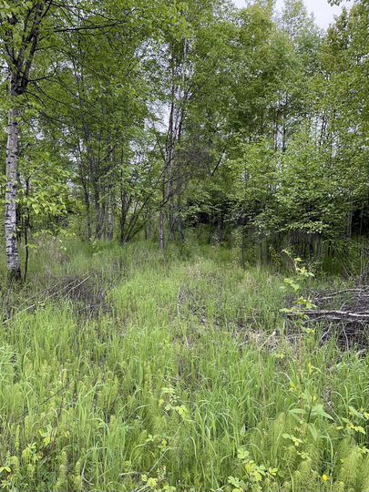 Участок 15,2 сот. (СНТ, ДНП)