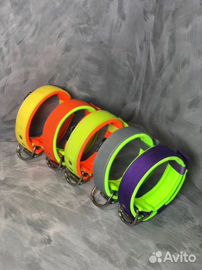 Амуниция для собак