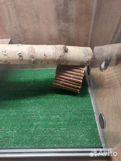 Террариум для рептилий бу