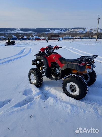 Квадрик 250куб