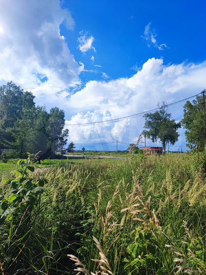 Участок 18,9 сот. (ИЖС)