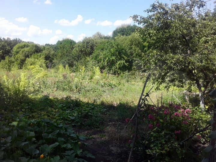 Дом 40 м² на участке 35 сот.