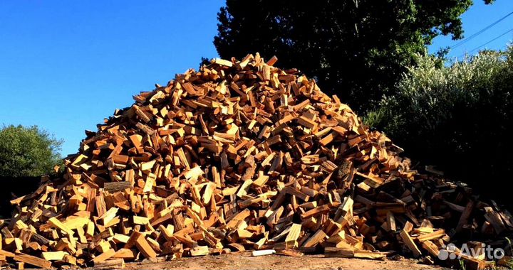 Дрова березовые