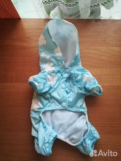 Одежда для собак