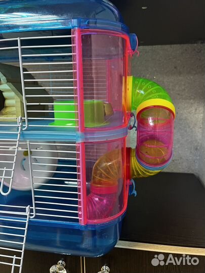 Клетка двухэтажная для сирийского хомяка