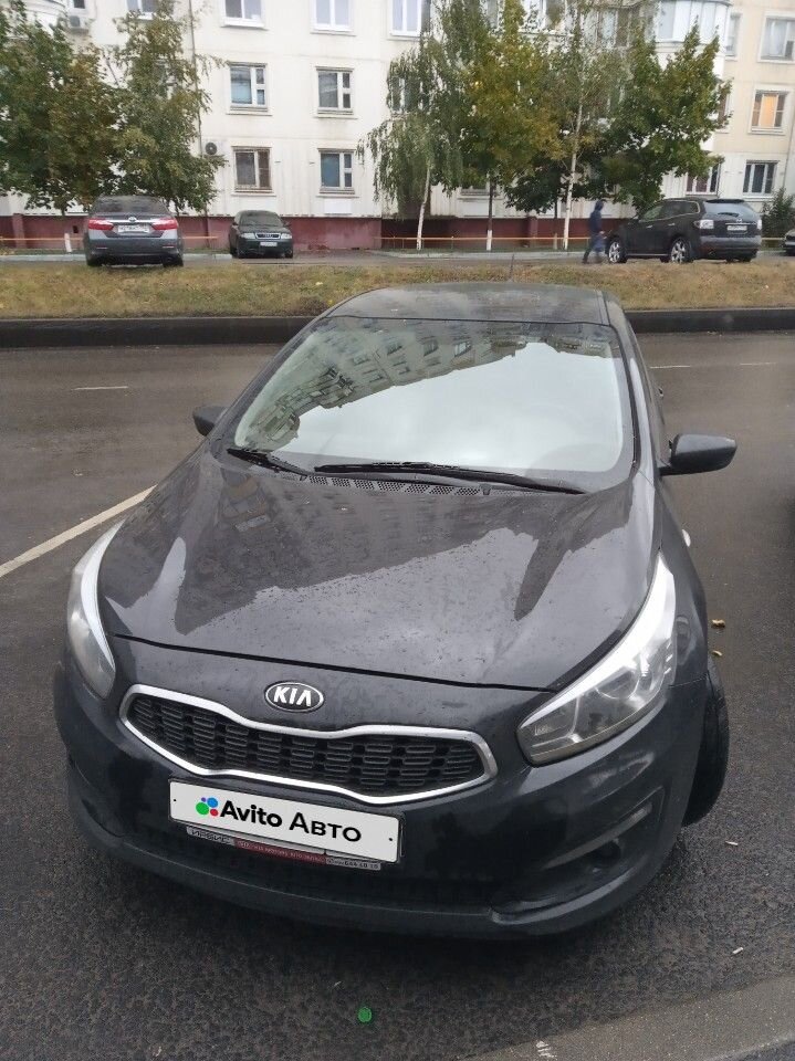 Kia Ceed: фото владельца