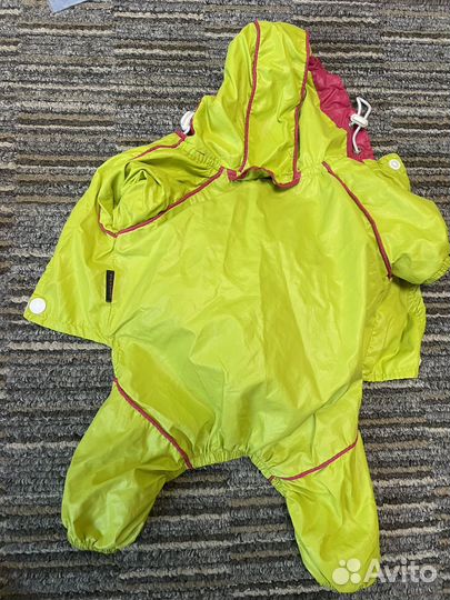 Одежда для собак