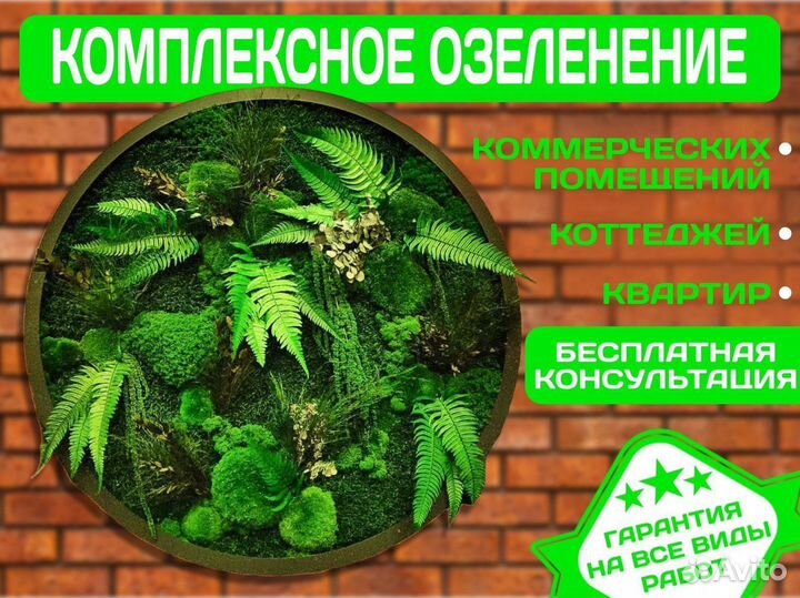 Картины, озеленение мхом