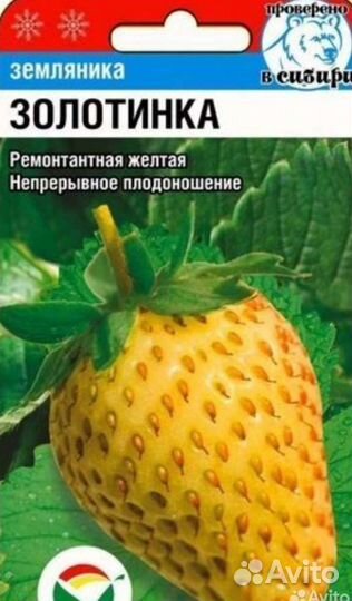 Земляника ремонтантная