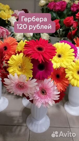 Роза, гербера, лилия, альстромерия, хризантема