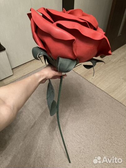 Розы гиганты