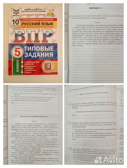 Русский язык ВПР 5 класс