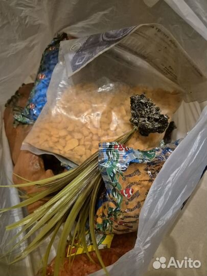 Аквариум наполнение к нему все новое 40 л примерно