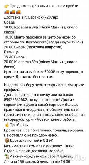 Рассада клубники