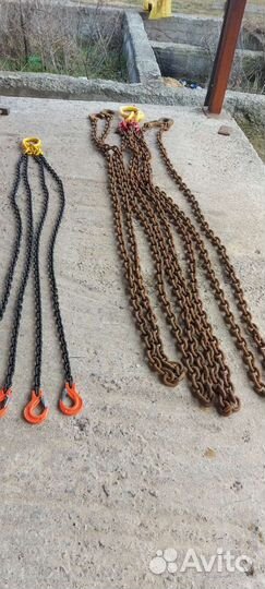 Паук цепной