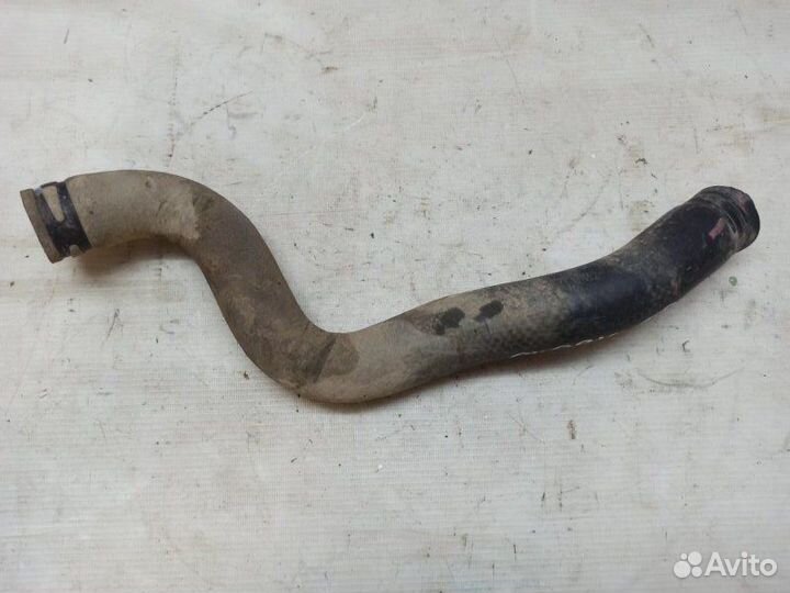 Патрубок радиатора нижний Kia Quoris KH G6DJ 2014