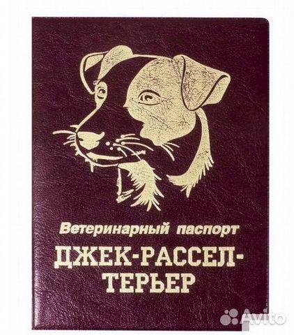 Ветеринарный паспорт обложка хаски корги