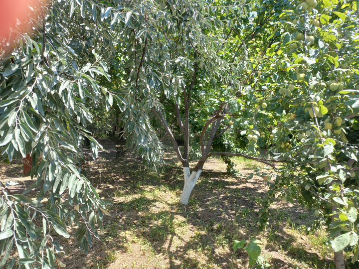 Дом 100 м² на участке 1100 м² (Армения)