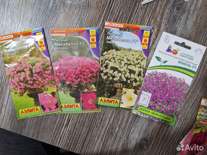 Петунии сортовые