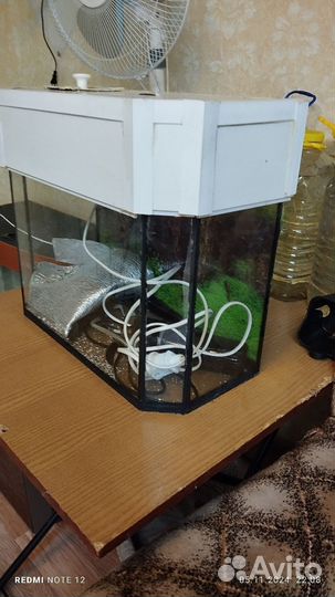Аквариум