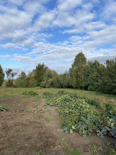 Дом 38 м² на участке 28 сот.