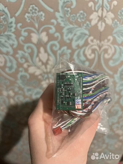 Can модуль starline