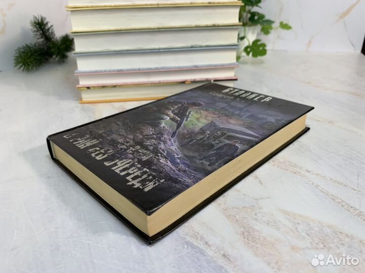 В рай без очереди - Сергей Клочков. Сталкер