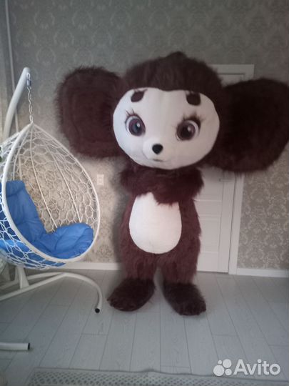 Экспресс поздравление