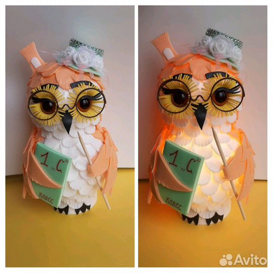 Сова ночник