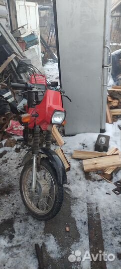 Зид 50 пилот