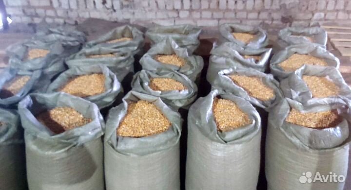 Кукуруза, ячмень, комбикорм в гранулах