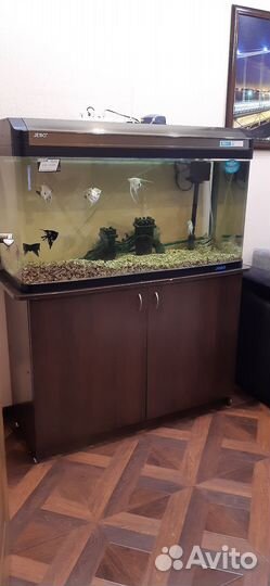 Аквариум с тумбой jebo