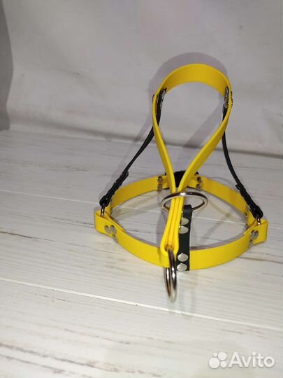 Амуниция для собак