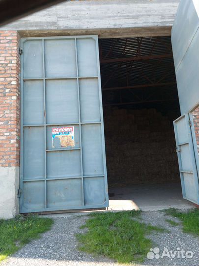 Солома пшеничная в тюках