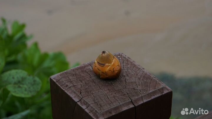 Продам объектив Sony E 18-200mm f/3.5-6 (SEL-18200