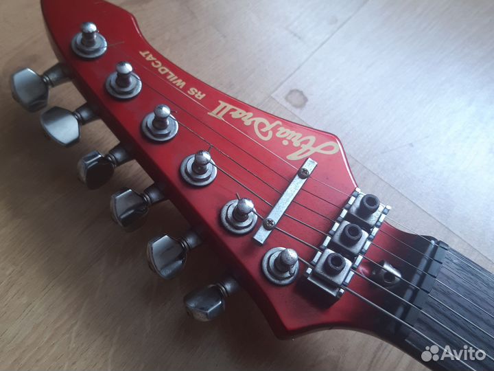 Aria Pro II RS-WCT Wild Cat (Japan)