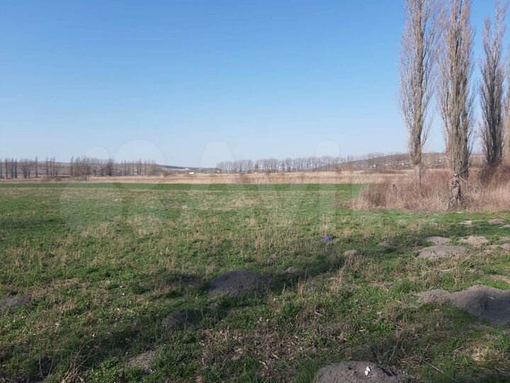 Участок 2,3 га (СНТ, ДНП)