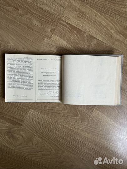 Книга Чжуд-Ши
