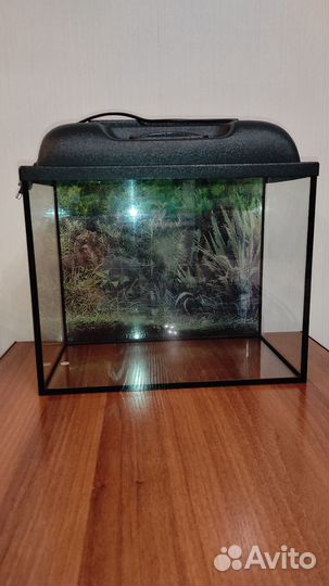 Аквариум