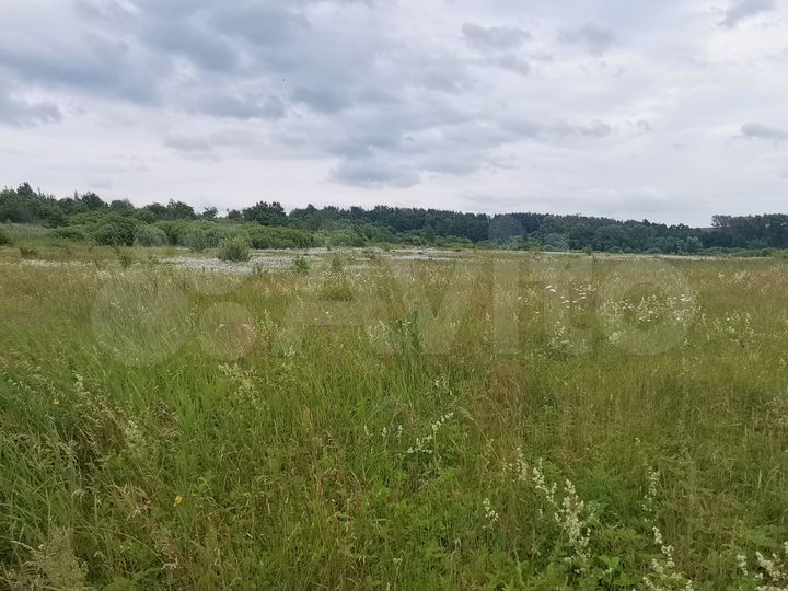 Участок 5 га (СНТ, ДНП)