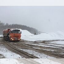 Привлекаем целевой займ в логистическую компанию, Душанбе