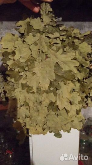 Дубовые веники для бани