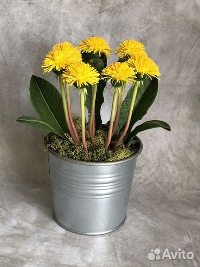 Поделка Одуванчики ручная работа